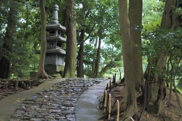 Japanese garden path