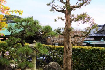 The scenery of the precinct