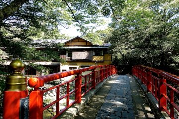 Red bridge under the shade of trees