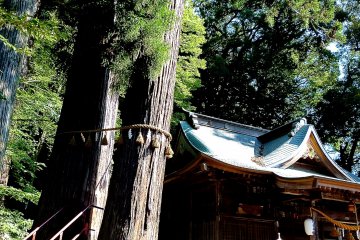 Hie Jinja Shrine