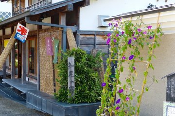 Teahouse and purple flowers of morning glory
