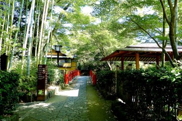 Red bridge looks nice in the green trees