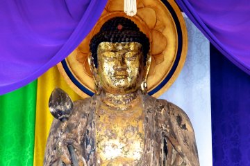 Shaka-nyorai Statue at Shigetsu-den Temple