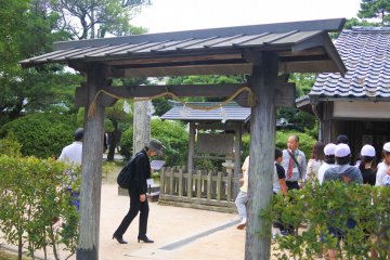 In the shrine grounds near the school building