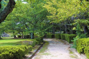 Some of the parks scenery which is located nearby to the castle