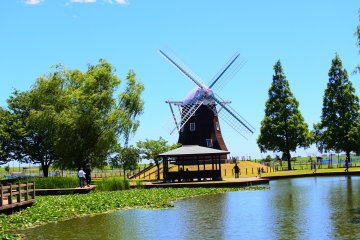 Akebonoyama Agriculture Park, Chiba