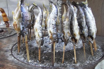 <p>Ikan</p>