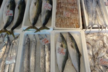 Doya Market