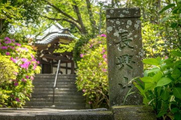 Situated at the top of a steep slope, Myohonji Temple is a vast complex boasting several large buildings