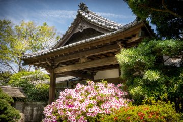 The subtle pink and white colors complement the impressive architecture 