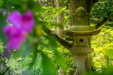 These colorful flowers make a welcome addition to this already impressive temple