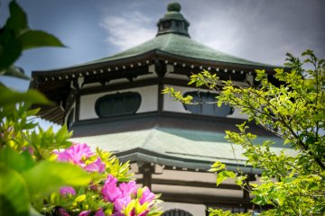  Located to the right of the temple’s front gate, I was able to catch my first glimpse of some azaleas  