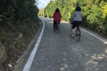 Beautiful cycling tracks and views on the way to Kaiji Beach