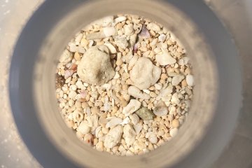 A peek into the world of stars (collecting sand in a plastic bottle for later processing)