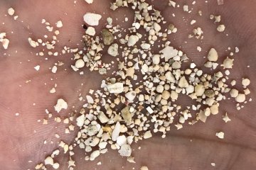 Sifting through the sand and looking for treasures