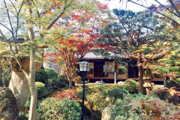 Seeing the seasons change here is special!
