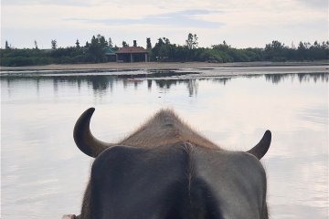 Menyeberangi perairan