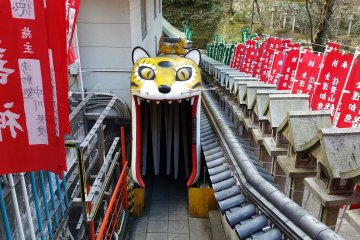 The Tiger Tunnel