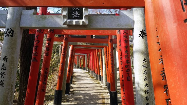 A path of torii gates on the way up to the Kuhatsu-Goho