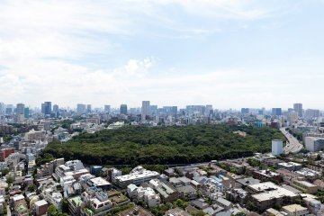 Former Imperial Land now part of the National Institute for Nature Study