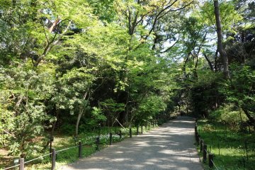 Former Imperial Land now part of the National Institute for Nature Study