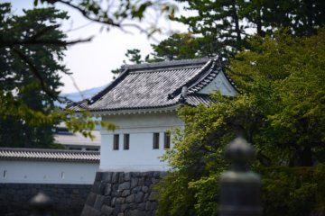 There are many shrines and temples surrounding the main tower.