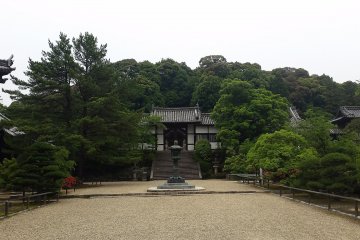 Looking up at Mount Shinaga 