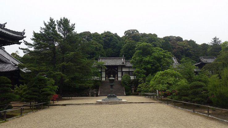 Looking up at Mount Shinaga 