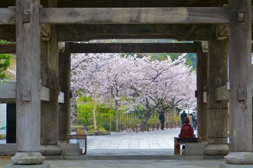 After passing under the great San-mon Gate, look back over your shoulder