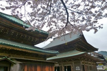 The Buddha Hall (left) and Dharma Hall (right)