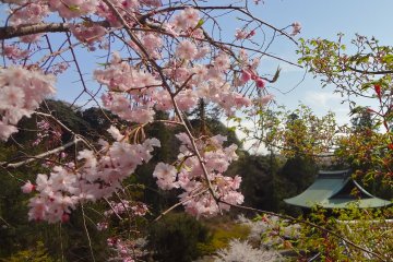 View from Jutoku-an