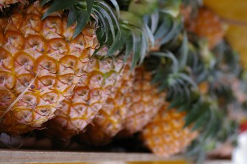 A Vegan-friendly Guide to Okinawa