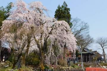 By Bishamondo Temple