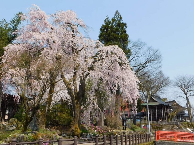 By Bishamondo Temple