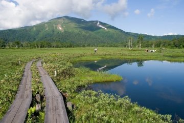 Oze National Park is a nature retreat