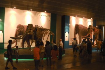 Yuka: Woolly Mammoth Exhibition in Yokohama 2013