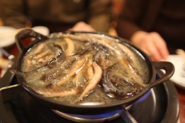 Dojou-nabe