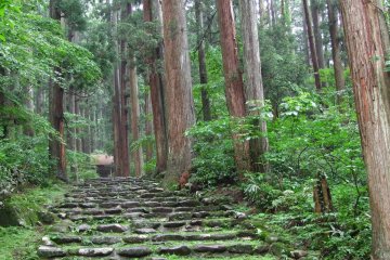 Moss-covered stone steps leading up into the mountain