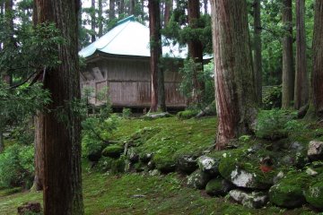 There is green everywhere here