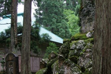 Mystical qualities abound