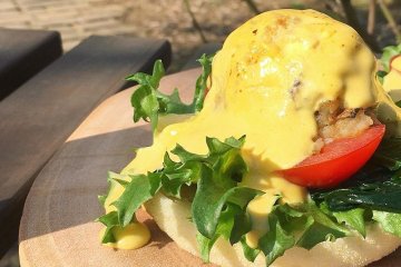 Vegan benedict