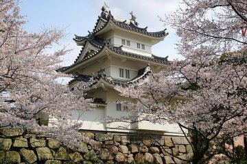 Tsu Castle Park in springtime