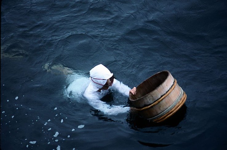 An ama diver at work
