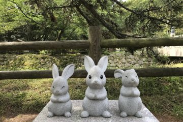 At Izumo Taisha Shrine