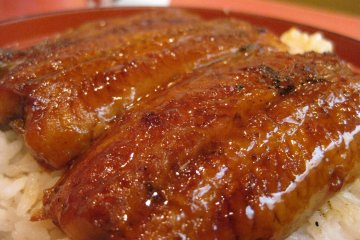 Unagi eel