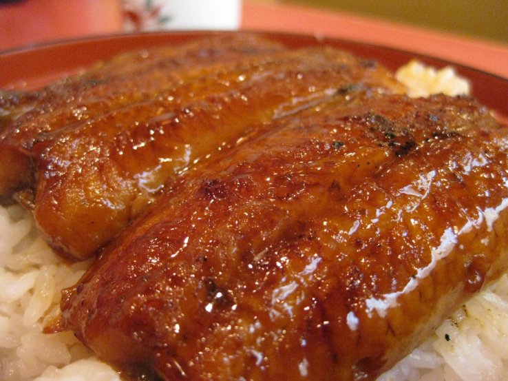 Unagi eel