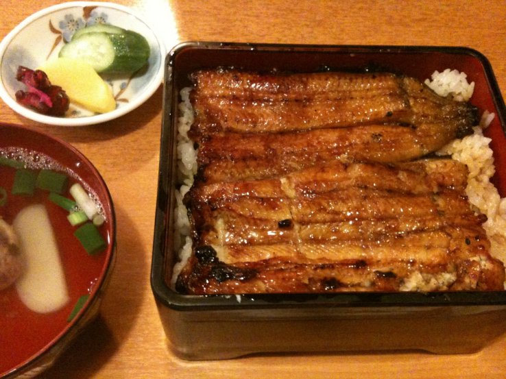 Unagi-don, eel on a bed of rice.