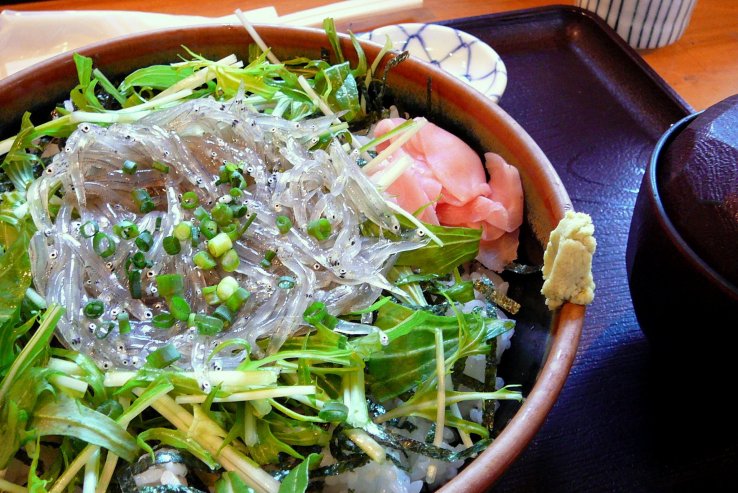 Shirasu-don, baby sardines on a bed of rice