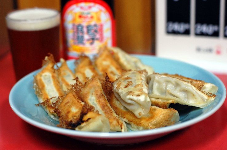 Gyoza dumplings