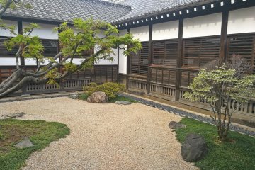 View from the garden